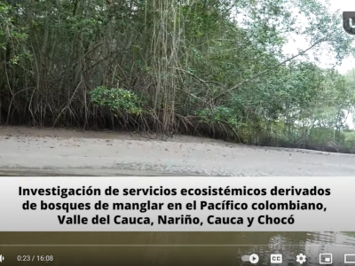 Servicios Ecosistemas de Bosques de Manglar en el Pacífico Colombiano