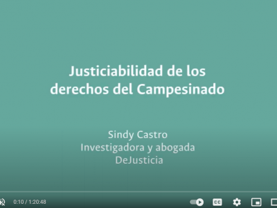 Poster Justiciabilidad