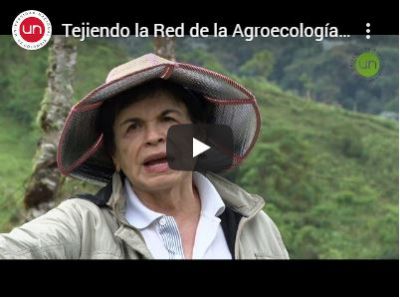 Tejiendo la Red de la Agroecología