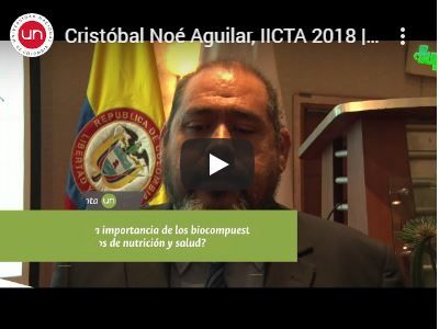 Cristóbal Noé Aguilar, IICTA 2018