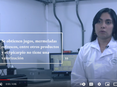 Colorantes naturales como alternativa en la industria de alimentos | Abstract