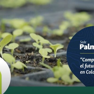 #PalmiraUNAL, comprometida con el futuro del campo en Colombia.