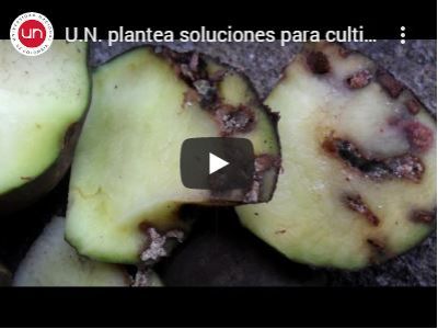 U.N. plantea soluciones para cultivos del resguardo del Gran Cumbal