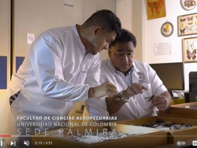 Estudia tu posgrado en la mejor universidad del país: Ciencias Agropecuarias I #UNALSedePalmira