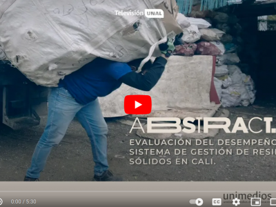 Evaluación del desempeño del sistema de gestión de residuos sólidos en Cali | Abstract