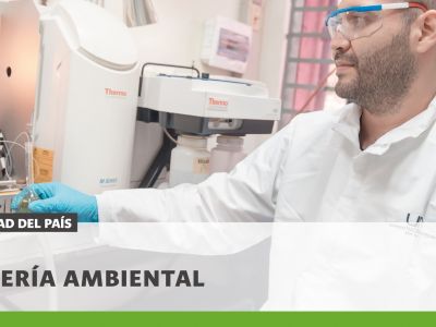 Conservación de abejas: esencial para la seguridad alimentaria