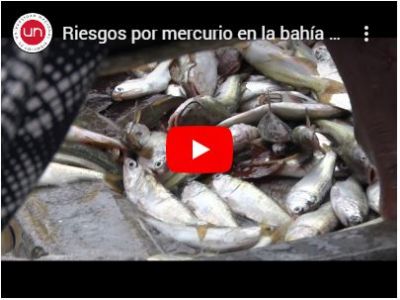 Riesgos por mercurio en la bahía de Buenaventura