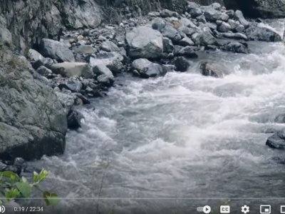 Salud de la cuenca del río Nima en Palmira