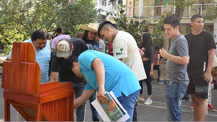 Imagen11