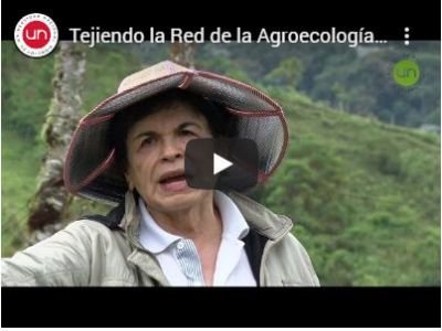 Tejiendo la Red de la Agroecología