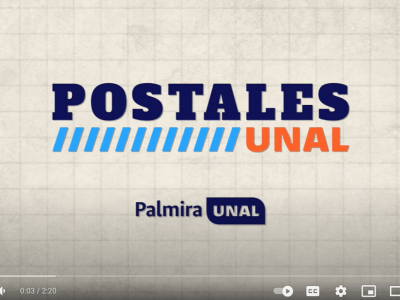Fortalecimiento del tejido social y la seguridad alimentaria - El Arenillo | #PostalesUNAL