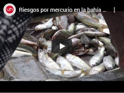 Riesgos por mercurio en la bahía de Buenaventura