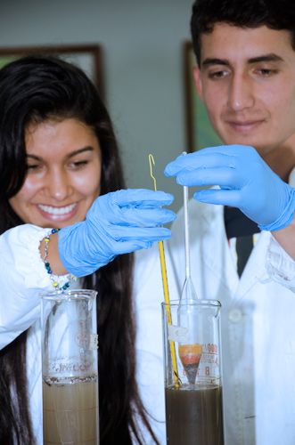 Investigación en la Sede Palmira