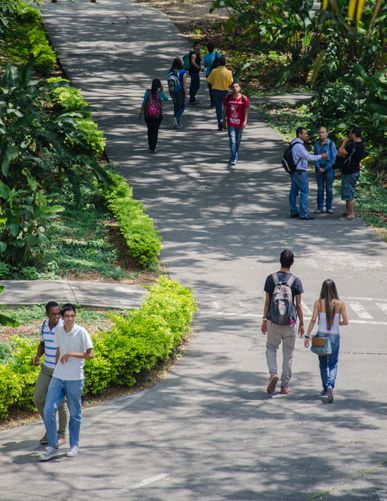 Vida Universitaria