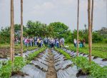 Trabajo de campo Ceunp