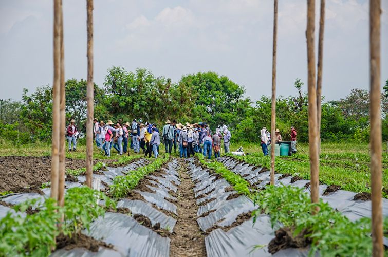 Trabajo de campo Ceunp