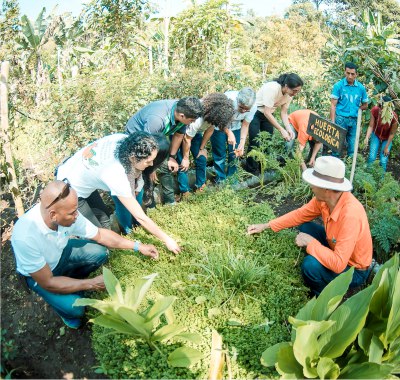 Doctorado en Agroecología