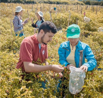 Maestría en Ciencias Agrarias