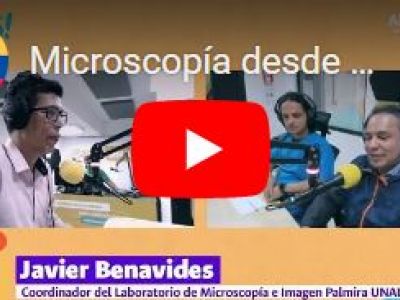 Microscopía desde #PalmiraUNAL para América Latina