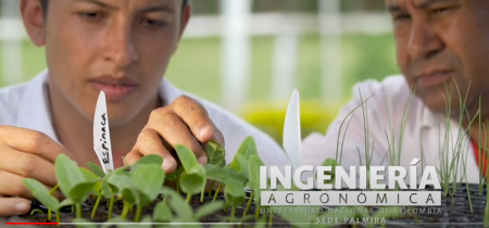 Ingeniería Agronómica