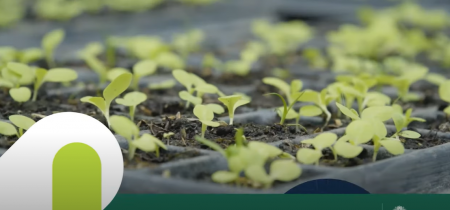 #PalmiraUNAL, comprometida con el futuro del campo en Colombia.