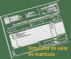 Simulador de valor de matrícula