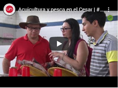 Acuicultura y pesca en el Cesar